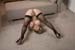 White_Rylee_7698